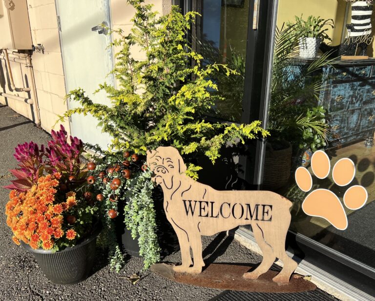 Dog-shaped welcome sign and flowers outside The Pampered Pooch salon